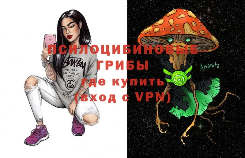 mega   shop клад  Псилоцибиновые грибы Psilocybe  Балаково 